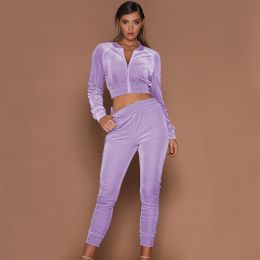 Spring Autumn Winter Linter 2 Piece Set Women Trousers Long Sleeves Solid Zipper Bundle Feet Sportswear Suit Short Pile Fabric (Color: Purple, size: 3Xl)