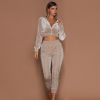 Spring Autumn Winter Linter 2 Piece Set Women Trousers Long Sleeves Solid Zipper Bundle Feet Sportswear Suit Short Pile Fabric