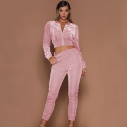 Spring Autumn Winter Linter 2 Piece Set Women Trousers Long Sleeves Solid Zipper Bundle Feet Sportswear Suit Short Pile Fabric (Color: Pink, size: 3Xl)