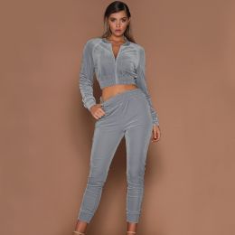 Spring Autumn Winter Linter 2 Piece Set Women Trousers Long Sleeves Solid Zipper Bundle Feet Sportswear Suit Short Pile Fabric (Color: Gray, size: S)
